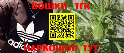 крисы Севастополь