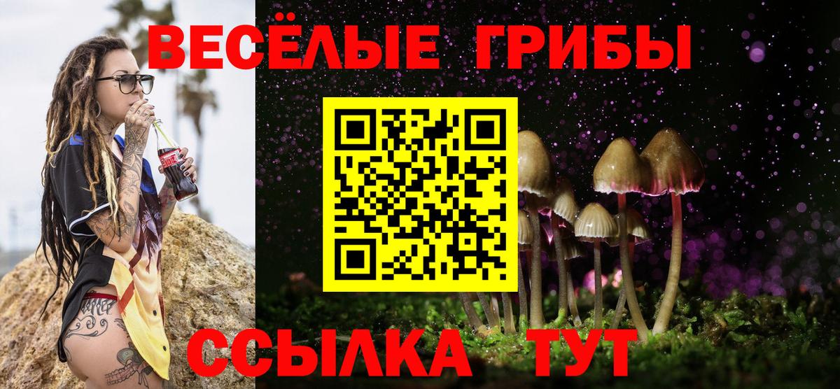 Галлюциногенные грибы Psilocybine cubensis  Вход с VPN  Псилоцибиновые грибы Psilocybe  Можга 