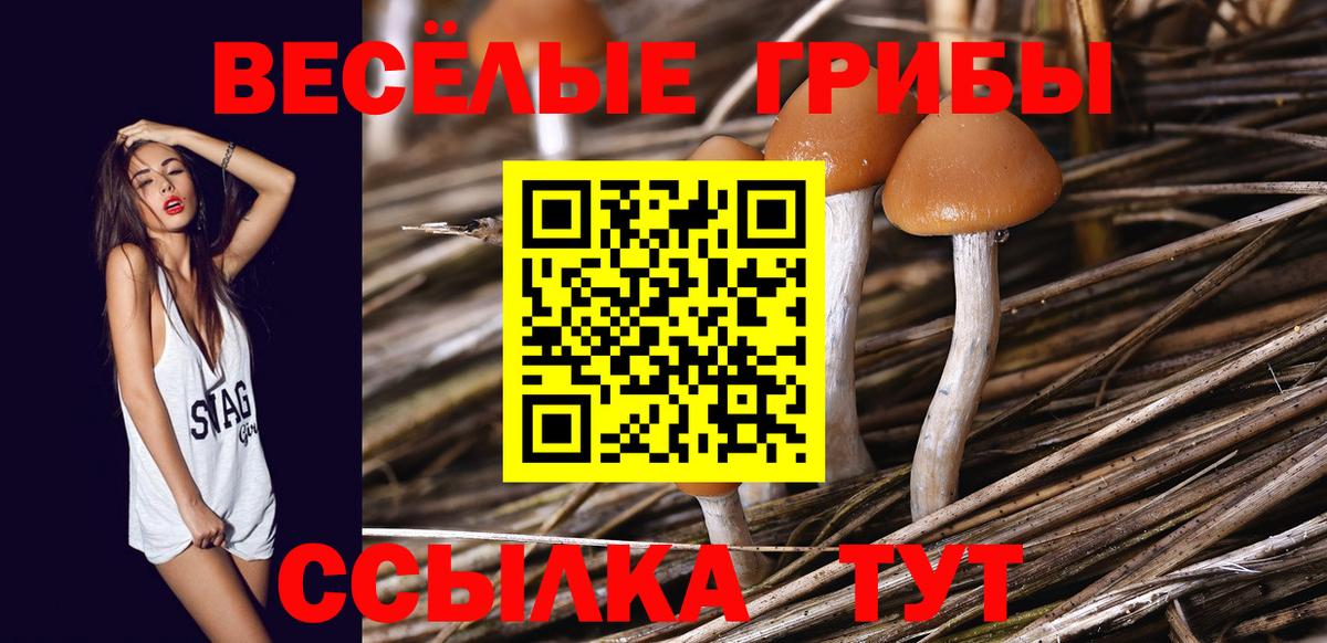 Псилоцибиновые грибы мицелий Можга