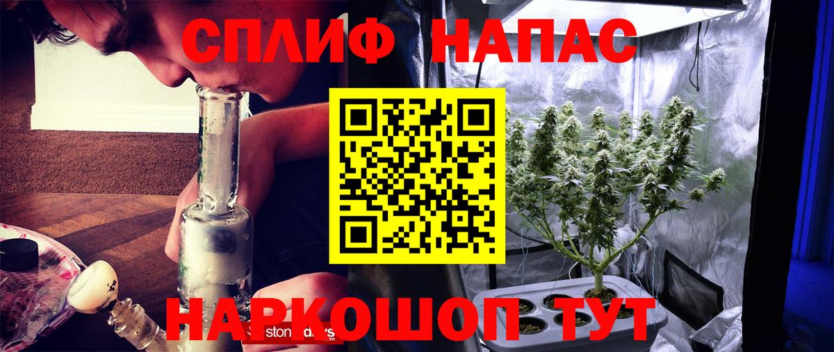 Бошки марихуана SATIVA & INDICA Можга